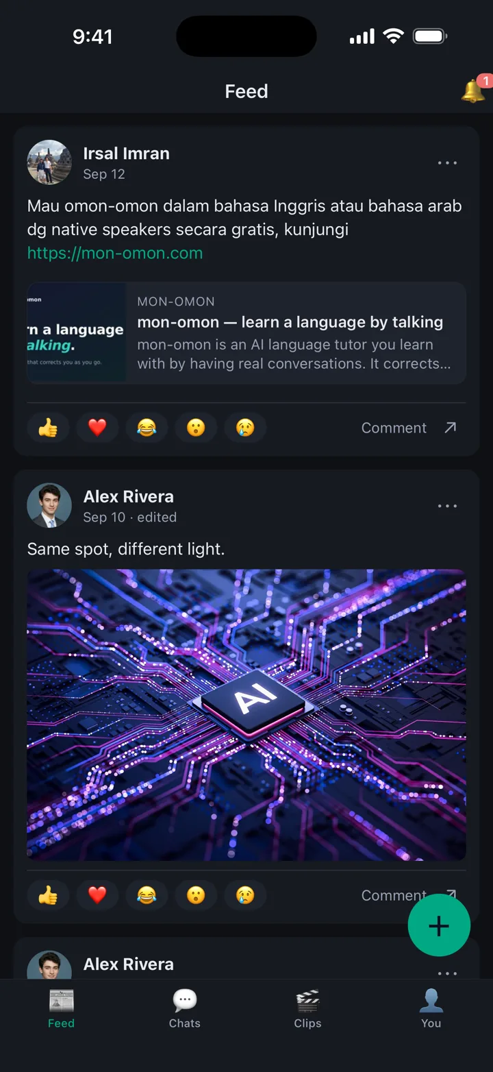 The Rindit iPhone app's feed: a post with a link preview above a photo post, with Feed, Chats, Clips and You along the bottom.